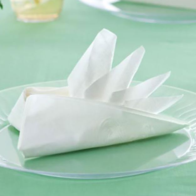 Bird Of Paradise Napkin Fold Chinet 