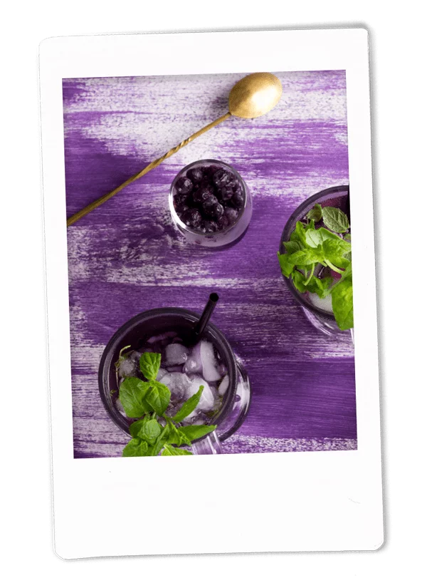 Blackberry Lavender Cocktail