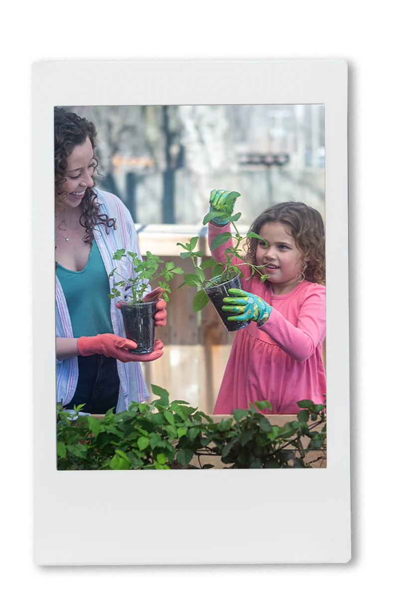 Instax of 2 girls planting tomato plants in a Chinet classic recycled clear cup