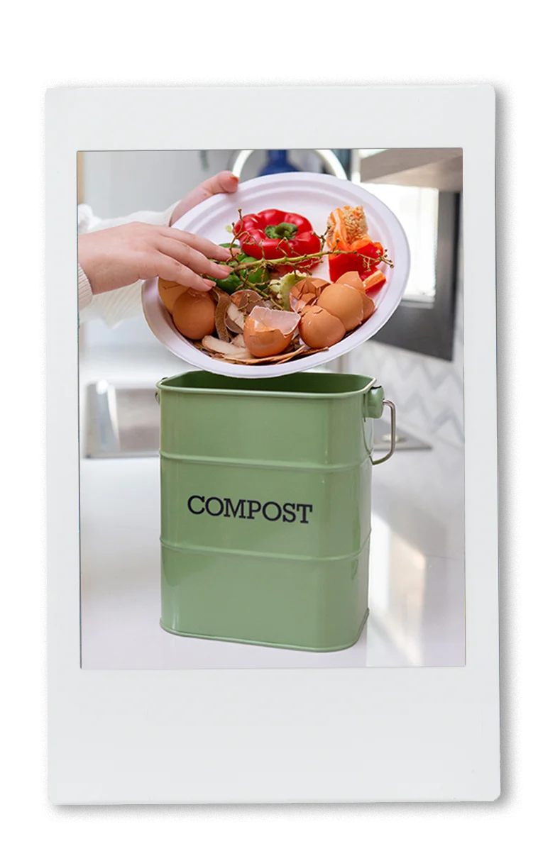 Person dumping food scraps into a compost bin using a chinet classic dinner plate